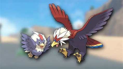 braviary best moveset|Braviary (Pokémon GO) .